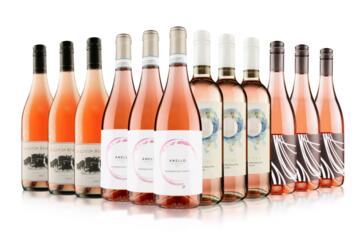 Blow Your Socks Off Rosé Wine Case