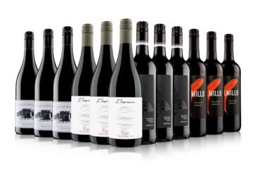 Blow Your Socks Off Red Wine Case