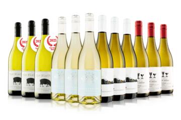 Blow Your Socks Off White Wine Case