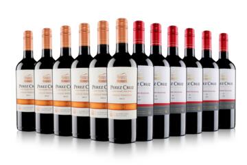 Vineyard Focus - Perez Cruz