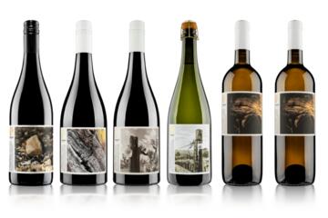 Vineyard Focus - Vineyard Collection Six