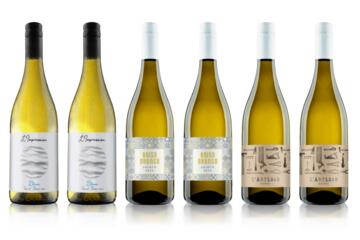 Six of the Best White Wine Case