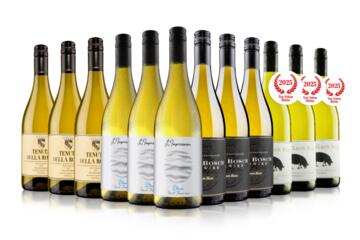 Blow Your Socks Off White Wine Case