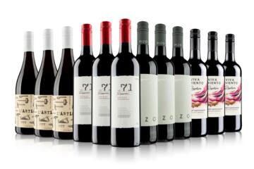 Summer Bestsellers Red Wine Case