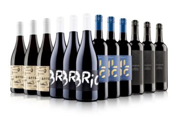Blow Your Socks Off Red Wine Case