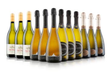 12 Bottle Prosecco and Fizz Case