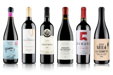 Wines of Ribera Six Bottle Red Wine Case