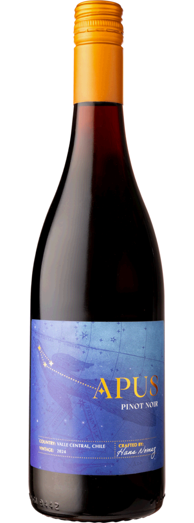 Apus Pinot Noir - Chile 2025