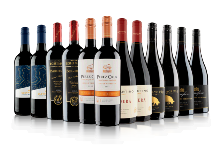 Bottle Perez Cruz Single Vineyard La Higuera Block 2017 Big Reds