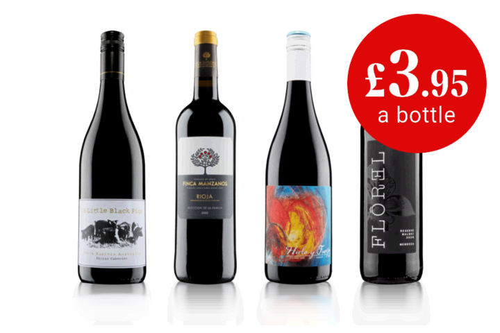 Discovery Wine Club Monthly Welcome Red Case