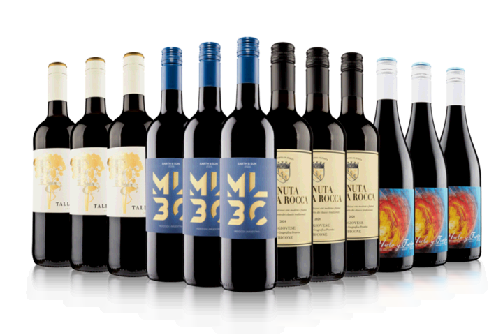 Blow Your Socks Off Red Wine Case