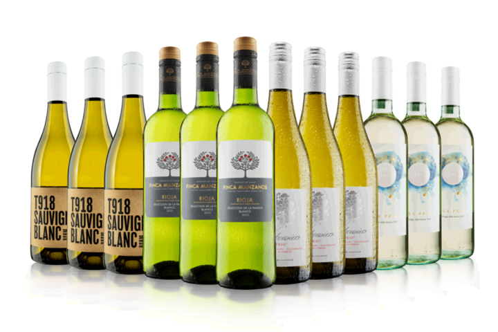 Blow Your Socks Off White Wine Case