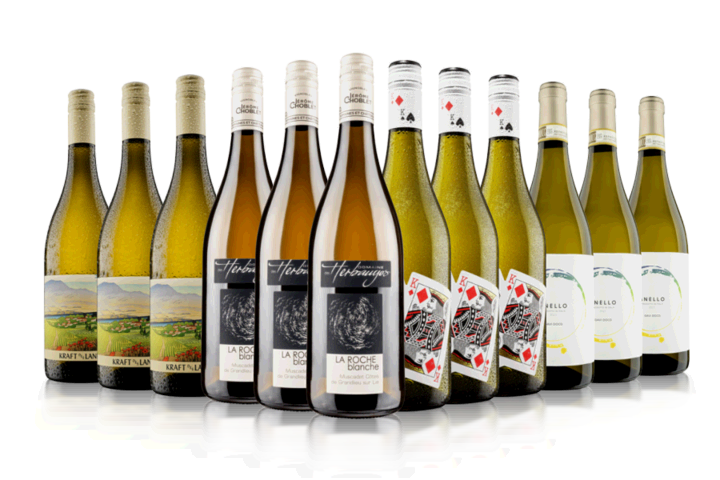 Everyday Excellence White Wine Case