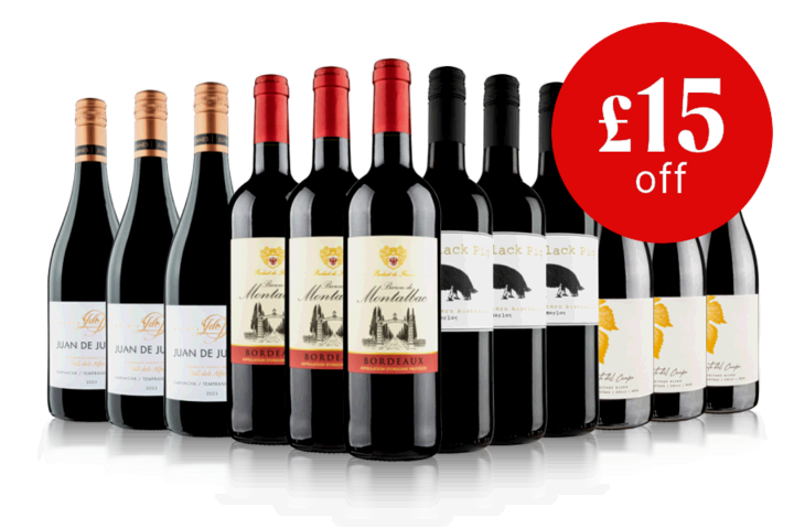 Festive Bargain Red Case