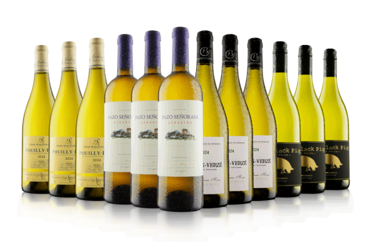 Aficionados Only 12 Bottle White Wine Case