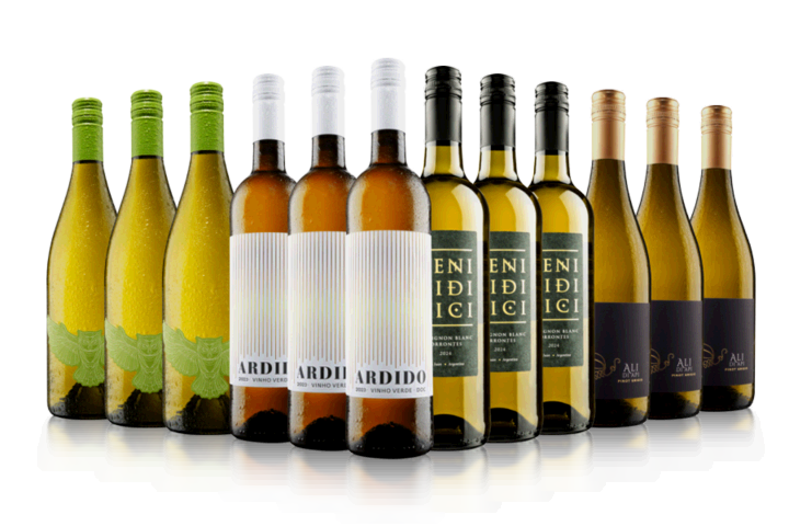 Blow Your Socks Off White Wine Case