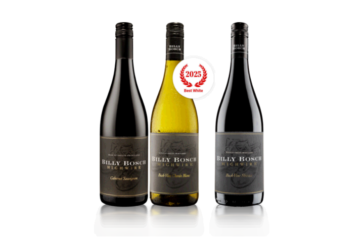 Bright Start Billy Bosch Trio