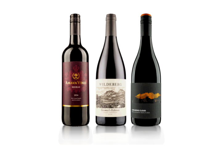 Bright Start Coastal Region Red Trio