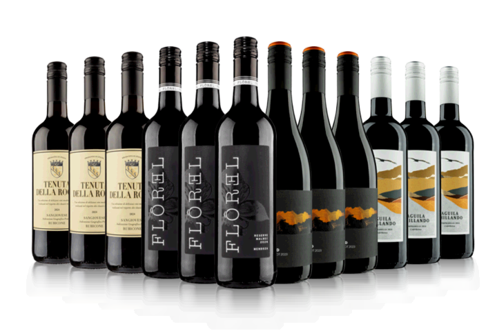 Globetrotter Red Wine Case