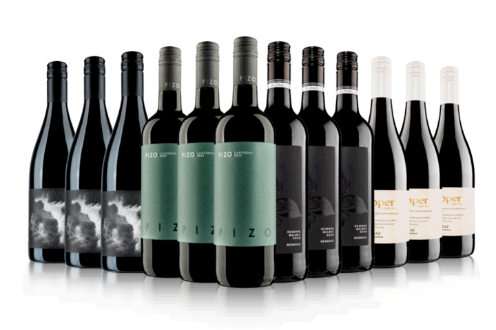 Vintage Wine Club Welcome Red Case