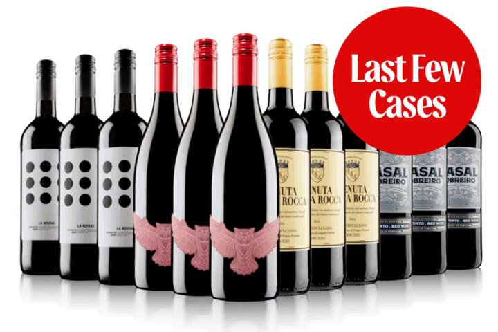 Boutique on a Budget Red Case