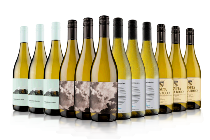 Blow Your Socks Off White Wine Case