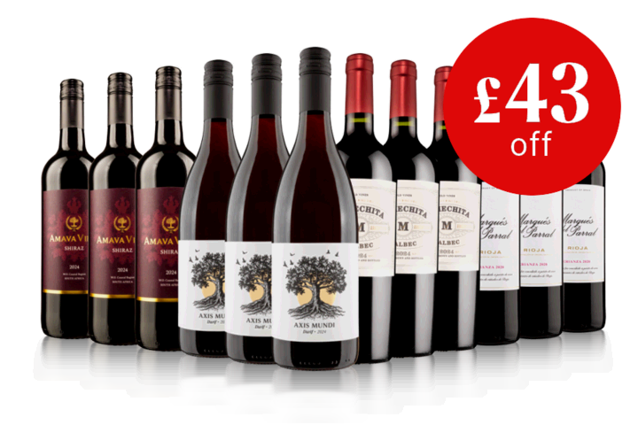 Bank Holiday Luxury Red Case