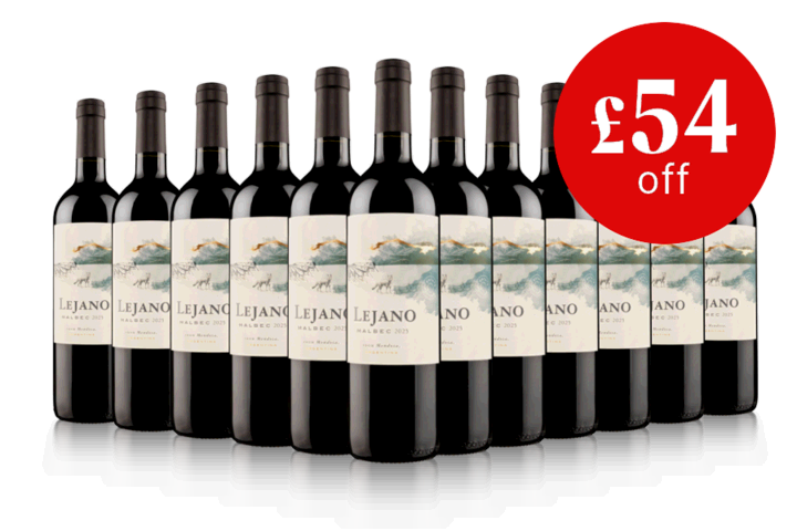 12 x Lejano Malbec