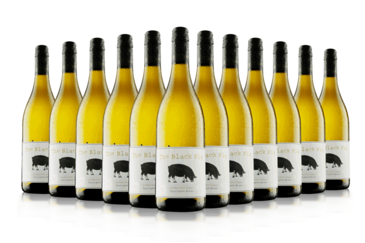 12 x Black Pig Sauvignon Blanc