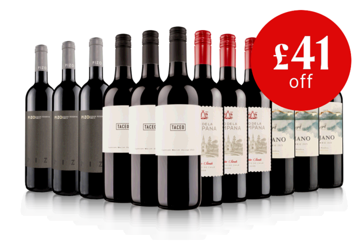 Bank Holiday Luxury Red Case