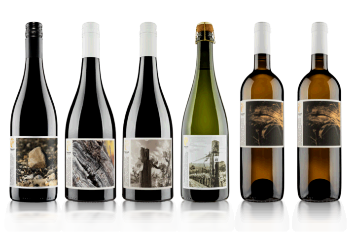 Vineyard Focus - Vineyard Collection Six