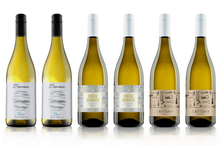 Six of the Best White Wine Case