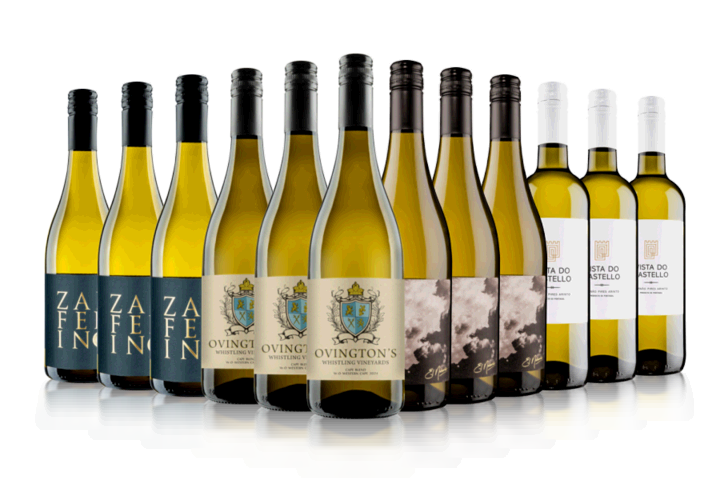 Blow Your Socks Off White Wine Case