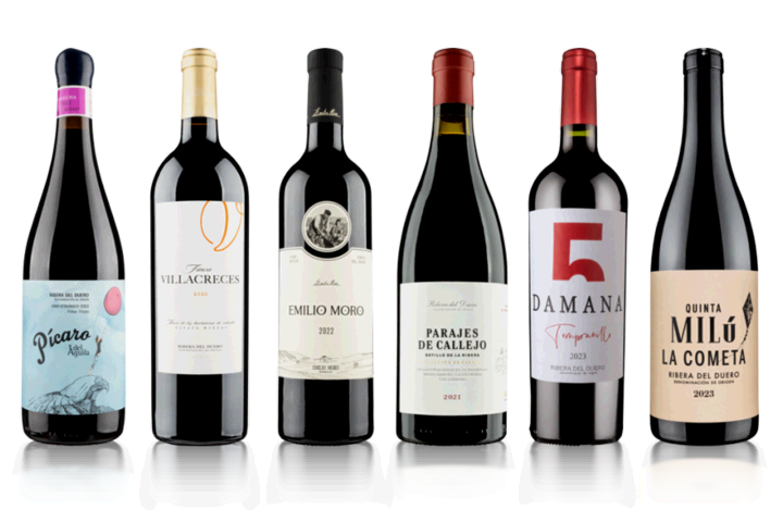 Wines of Ribera Six Bottle Red Wine Case